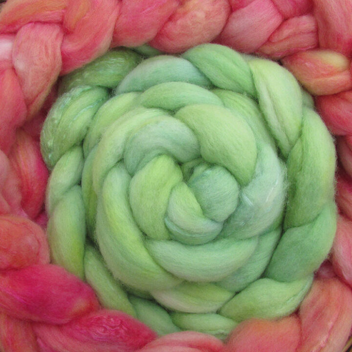 Close up view of two braids of hand dyed merino and silk fibre, one in pale green and one in orangey pink