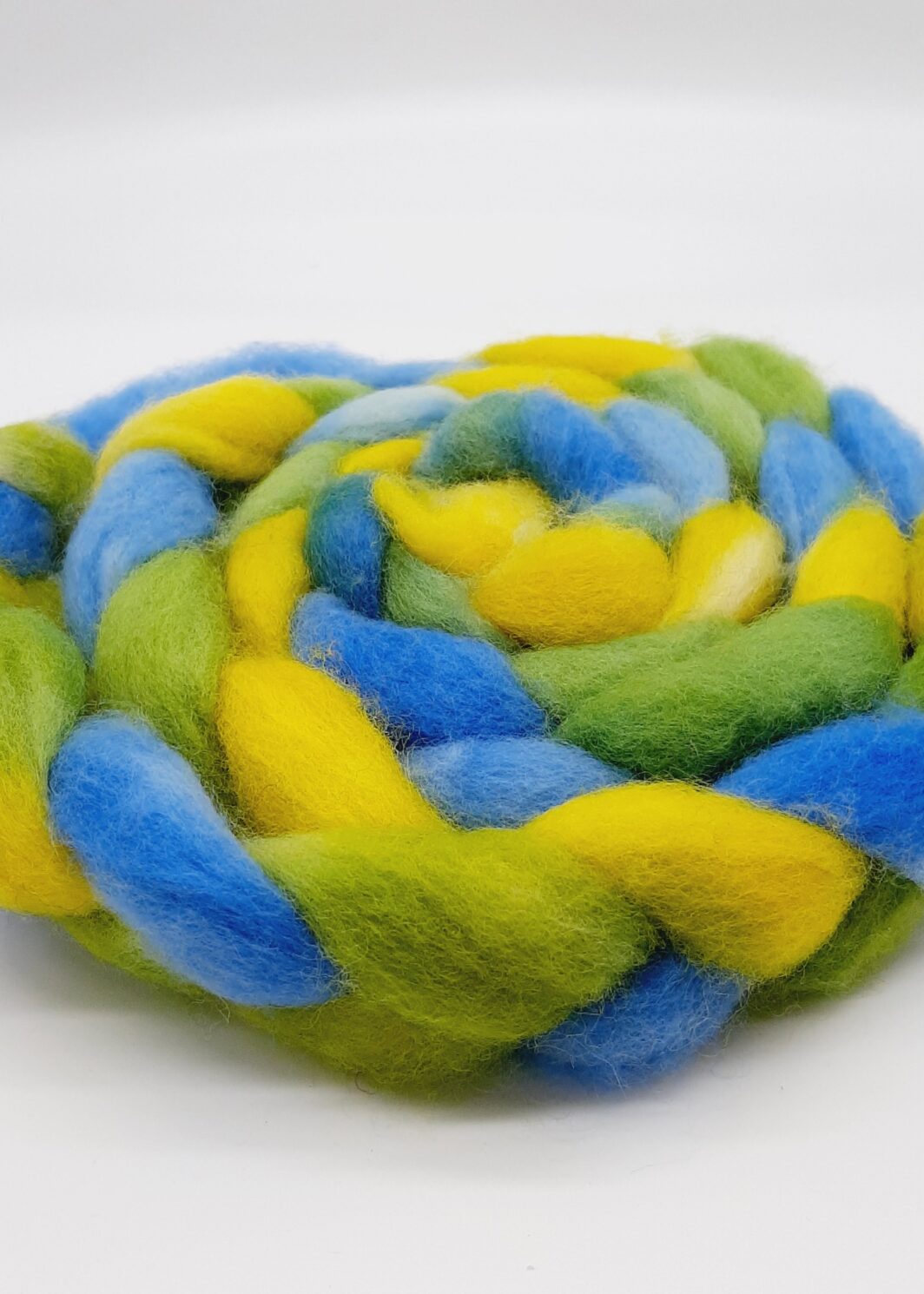 A braid of Cornish Romney roving hand dyed in blue, green and yellow.